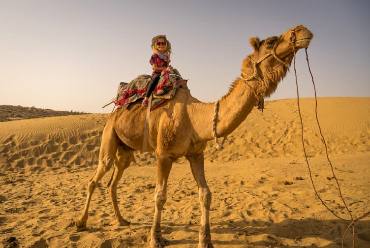 Dubai: Evening Desert Safari, Sandboarding, Camel Ride, Sunset Views & BBQ dinner
